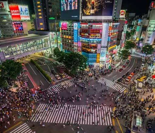 Tokyo custom private tour